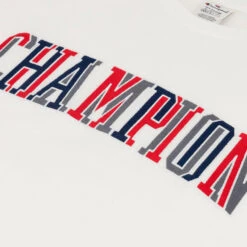 Camiseta Champion Bookstore 7 Camiseta Champion Bookstore -Nike Tienda de ventas camiseta champion bookstore white 2