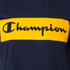 Camiseta Champion Legacy Flock Box -Nike Tienda de ventas camiseta champion legacy flock box azul 2