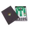 Camiseta COPA Real Betis 1993 - 94 Retro -Nike Tienda de ventas camiseta copa real betis 1993 94 retro football shirt white green 0