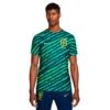 Camiseta Nike Brasil Pre-Match Mundial Qatar 2022 -Nike Tienda de ventas camiseta nike brasil pre match mundial qatar 2022 coastal blue coastal blue 0