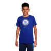 Camiseta Nike Chelsea FC Fanswear 2022-2023 Niño -Nike Tienda de ventas camiseta nike chelsea fc fanswear 2022 2023 nino rush blue 0