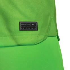 Camiseta Nike FC Barcelona Primera Equipación Stadium Portero 2022-2023 -Nike Tienda de ventas camiseta nike fc barcelona primera equipacion stadium portero 2022 2023 green strike mean green 4