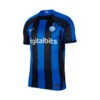 Camiseta Nike FC Inter De Milán Primera Equipación Stadium 2022-2023 Niño -Nike Tienda de ventas camiseta nike fc inter de milan primera equipacion 2022 2023 nino lyon blue black 0