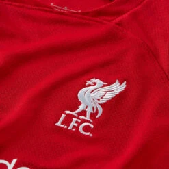 Camiseta Nike Liverpool FC Primera Equipación Stadium 2022-2023 Niño -Nike Tienda de ventas camiseta nike liverpool fc primera equipacion 2022 2023 nino tough red red 5