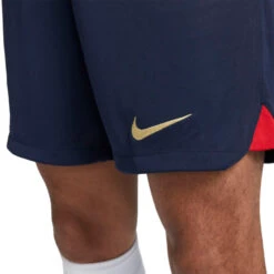 Pantalón Corto Nike FC Barcelona Primera Equipación Stadium 2022-2023 -Nike Tienda de ventas pantalon corto nike fc barcelona primera equipacion stadium 2022 2023 obsidian university red 2