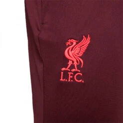 Pantalón Largo Nike Liverpool FC Training 2022-2023 -Nike Tienda de ventas pantalon largo nike liverpool fc training 2022 2023 burgundy crush 3