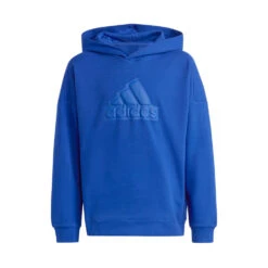 Sudadera Adidas Future Icons Logo Niño